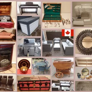 Langevin Downsizing Auction - Orangeville