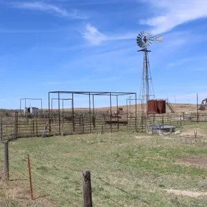 Plain Land Auction