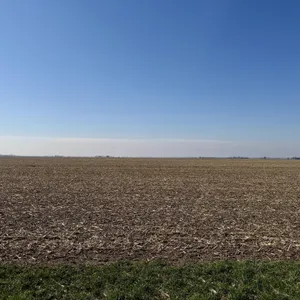 LIVE Land Auction - Monona County, Iowa