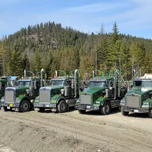 May 30 (9 am) - Jun 2 (9 am) PDT Unreserved Online Auction for R.J. Schunter Contracting Ltd, Lumby, BC 26EM