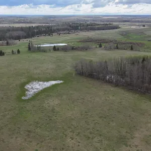 Real Estate Auction for the McKinney Family of Iron River, Alberta