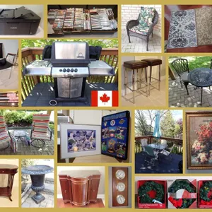 Senior Transition Auction - Alliston