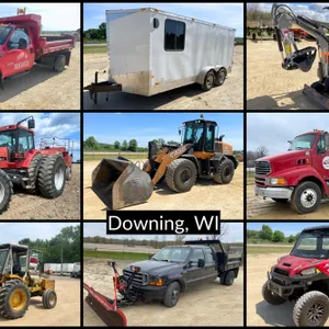 June Downing Auction