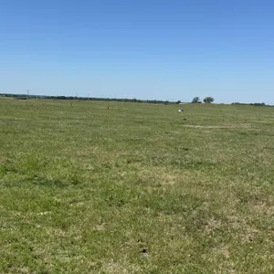 Jennifer Small Land Auction