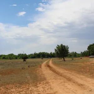 Stewart Land Auction