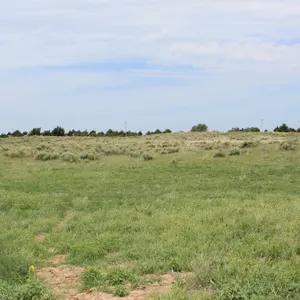Schamburg Land Auction