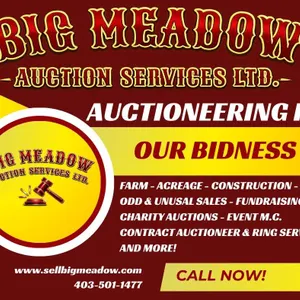 3rd Annual Odd and Unusual Auction