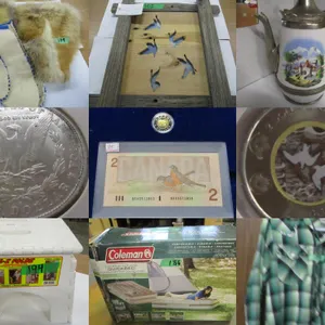 EDMONTON:  Timed Online Weekly Consignment Auction - February 18, 2026
