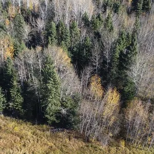 Parcel 18 - 2.08 Acre Recreational Cabin Site in Timber Estates, Emma Lake, SK