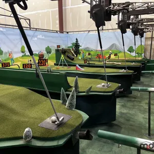 (5) Golf Mini Greens (Putters Not Included)
 UNRESERVED