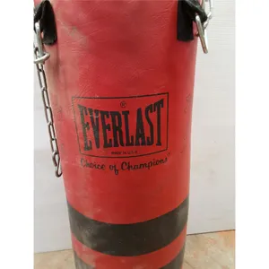 * Everlast Punching Bag 31" Height x 11" Dia