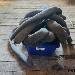 Water Snakes
 UNRESERVED