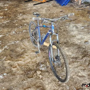 Raleigh Bike
 UNRESERVED