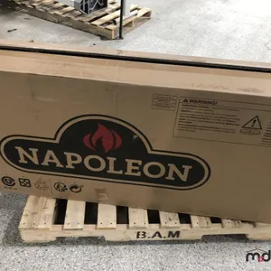 Napolean Fireplace
 UNRESERVED