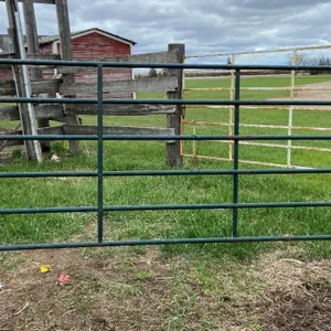 2 - 10' HI HOG LIGHT DUTY PANELS