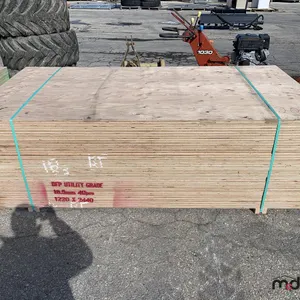 (40) 3/4" x 4x8 CSP/DFP No Stamp Plywood
 UNRESERVED