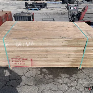 (40) 3/4" x 4x8 CSP/DFP No Stamp Plywood
 UNRESERVED