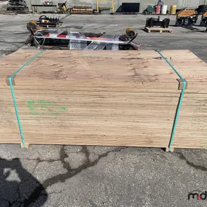 (50) 5/8" x 4x8 CSP/DFP No Stamp Plywood
 UNRESERVED