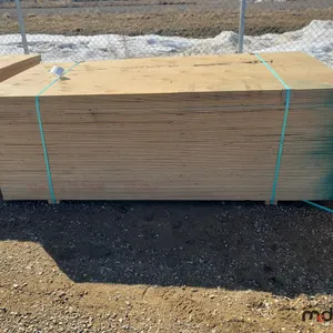 Bundle of  4' x 8' - 5/8"  Utility Grade Plywood  (50 Sheets)
 UNRESERVED