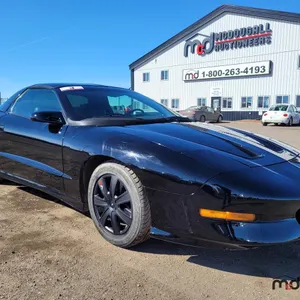 1995 Pontiac Firebird Trans Am Car