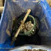 (3) Totes of PVC pipe fittings