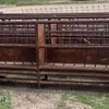 (4) sheep feeders