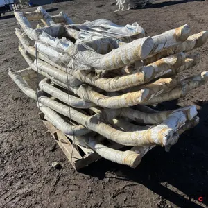 (10) Aluminum Front Deer Bumpers
 UNRESERVED