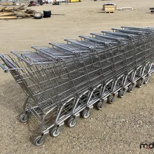 Assorted Shopping Carts
 UNRESERVED