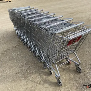 Assorted Shopping Carts
 UNRESERVED