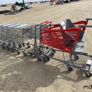 Assorted Shopping Carts
 UNRESERVED