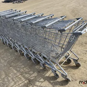 Assorted Shopping Carts
 UNRESERVED