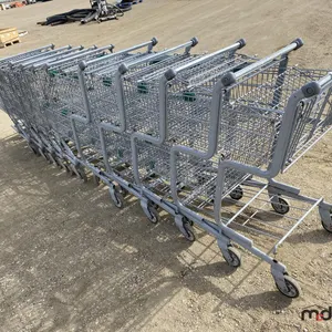 Assorted Shopping Carts
 UNRESERVED