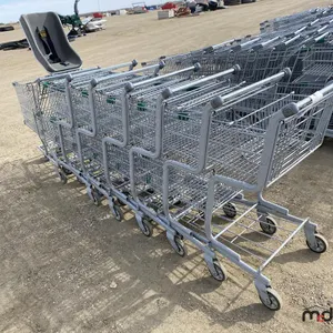 Assorted Shopping Carts
 UNRESERVED