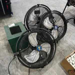 Fans
 UNRESERVED