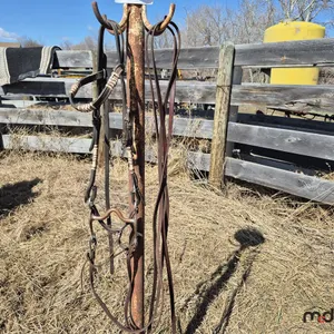 Bridles w/ Reins
 UNRESERVED