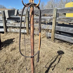 Bull Whip 
 UNRESERVED
