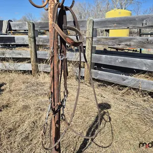 Bridles w/ Reins
 UNRESERVED