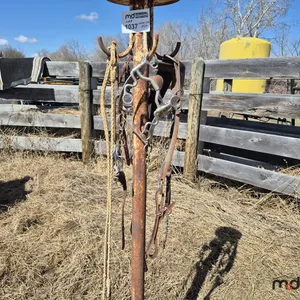 Assorted Equestrian Tack
 UNRESERVED