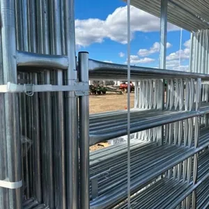 (2) Unused 10' Corral Gates