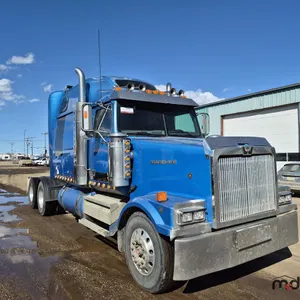 2005 Western Star 4900 T/A Sleeper Semi Truck