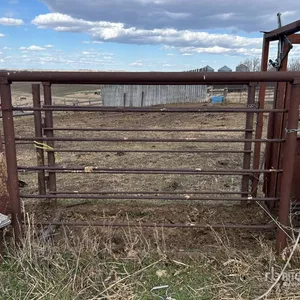 Cattle Alley