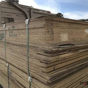 (50) DFP/CSP No Stamp Plywood (5/8" 4 x 8) (Unused)
 UNRESERVED
