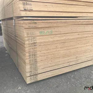 (50) DFP/CSP No Stamp Plywood (5/8" 4 x 8) (Unused)
 UNRESERVED