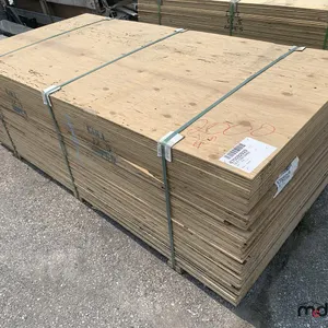 (60) 1/2" 4 x 8 CSP/DFP No Stamp Plywood
 UNRESERVED