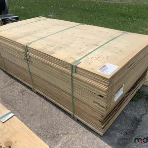 (60) 1/2" 4 x 8 CSP/DFP No Stamp Plywood
 UNRESERVED