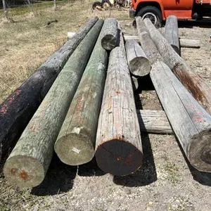 Lot of poles