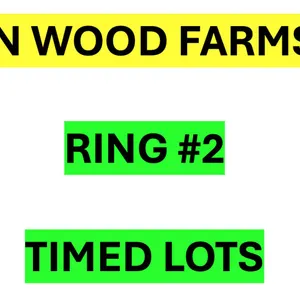 There are many more items to bid on in this sale. The remaining items will be sold by TIMED Online Selling. Please go to RING #2 for all EDE N WOOD FA