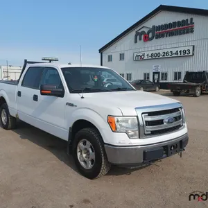 2013 Ford F150 Truck