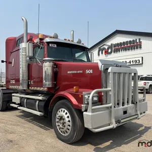 2002 Western Star 4964 FX T/A Sleeper Semi Truck