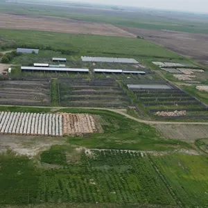 Farmland Quarter and Feedlot - SW 6-12-27W - Elkhorn, MB